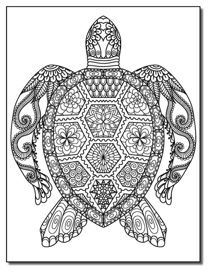 94-Mandala
